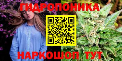 a pvp Севастополь
