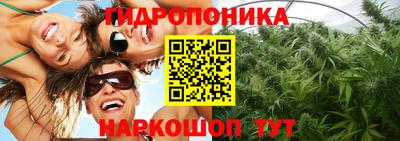 мдпв Свободный