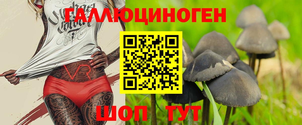Петропавловск-Камчатский  Галлюциногенные грибы Psilocybe  Вход с VPN 